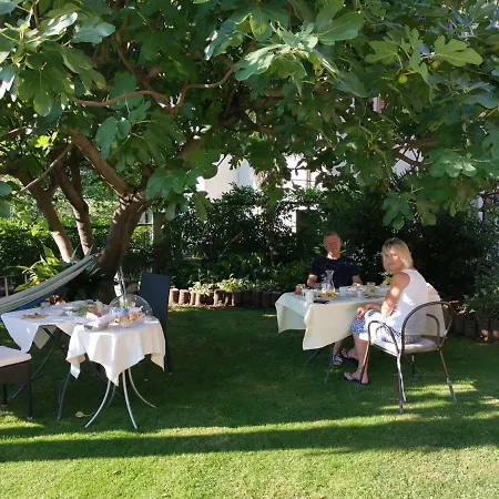 Dei Pini 카노비오