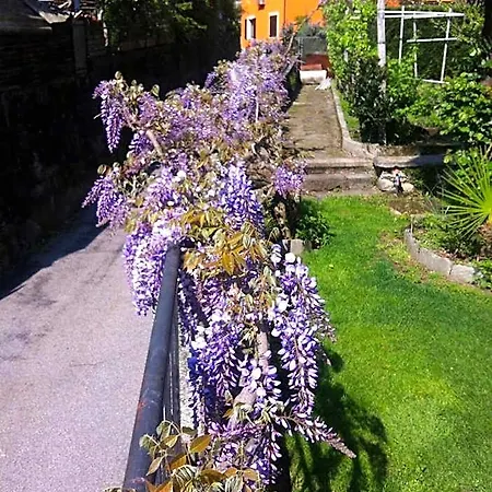 Dei Pini