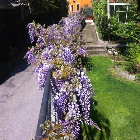 Bed and Breakfast Dei Pini