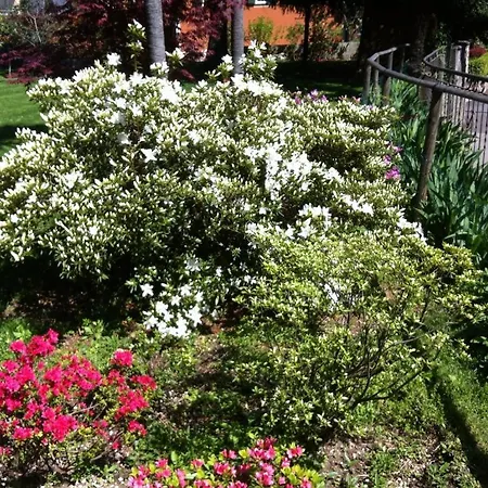 Dei Pini B&B 카노비오