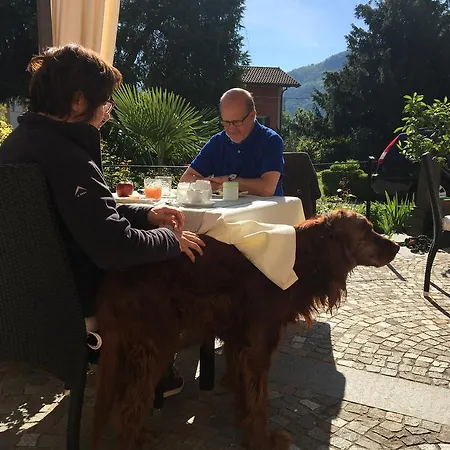 Bed & Breakfast Dei Pini