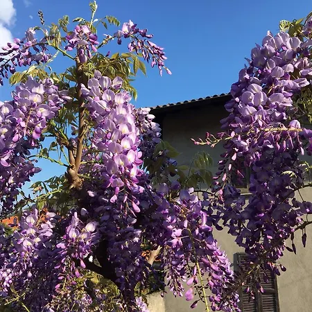 Dei Pini Bed & Breakfast Cannobio