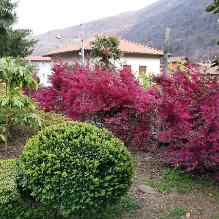 Dei Pini